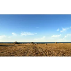 Cala Ponte Resort & Spa - Calaponte Marina - 5 Days 4 Nights - Avvenice