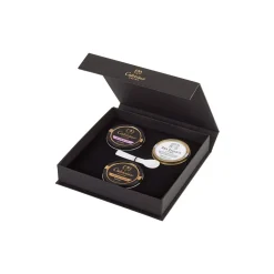 Calvisius - Pop Collection - Caviar - Gift Boxes - Luxury High Quality - 3 x 50 g - Avvenice
