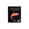 Calvisius - Scottish Salmon Sliced - Selected Salmon Fillet - Smoked and Specialties - 6 x 100 g - Avvenice