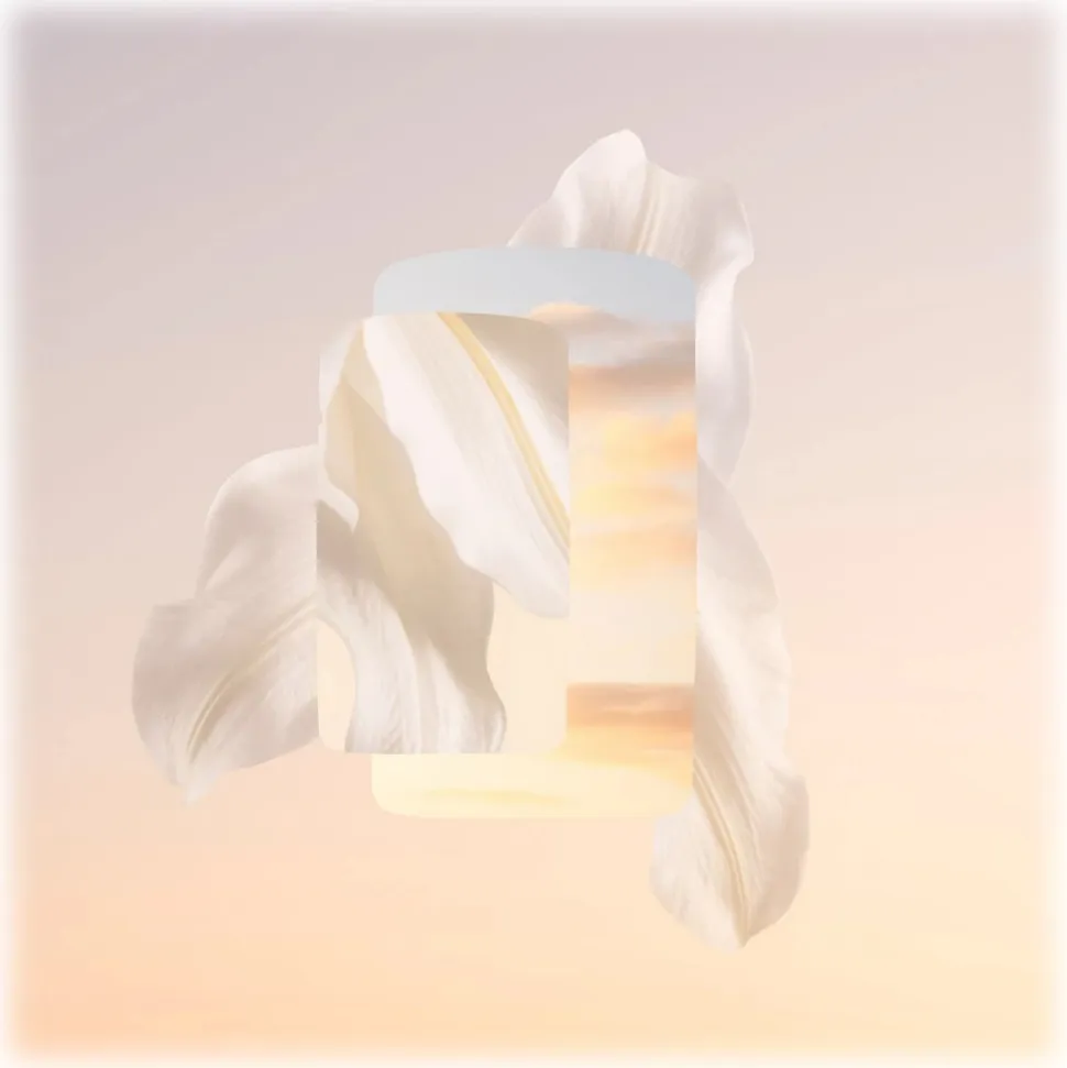 Cartier - Baiser Volé Eau De Parfum - Luxury Fragrances - 50 ml - Avvenice