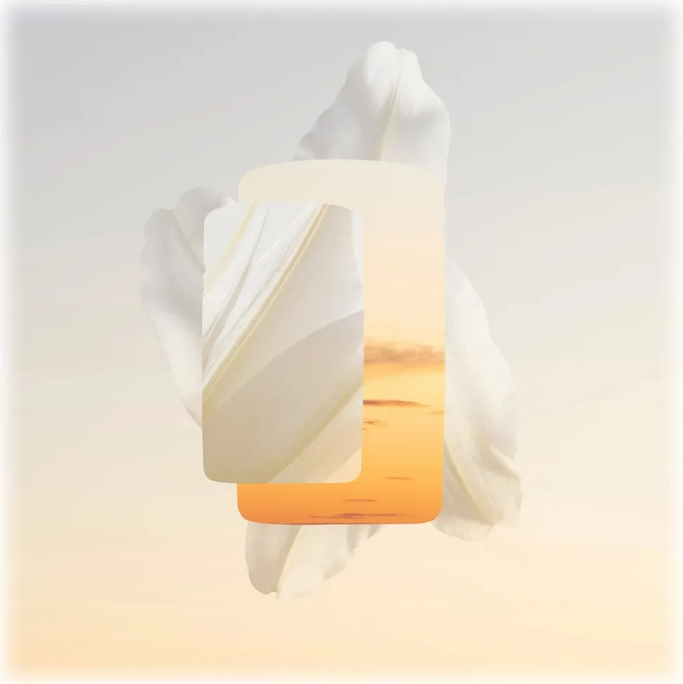 Cartier - Baiser Volé Parfum - Luxury Fragrances - 100 ml - Avvenice