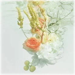 Cartier - Rivières de Cartier Allégresse - Luxury Fragrances - 100 ml - Avvenice