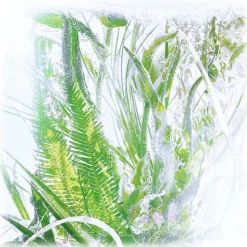 Cartier - Rivières de Cartier Luxuriance - Luxury Fragrances - 100 ml - Avvenice