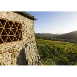 Castello di Meleto - Castle Storytelling - History - Art - Wine - 3 Days 2 Nights - Avvenice