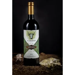 Castello di Meleto - Castle Storytelling - History - Art - Wine - 5 Days 4 Nights - Avvenice