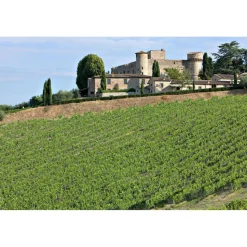 Castello di Meleto - Feeling The Silence of Wine and Relaxation - History - Art - 4 Days 3 Nights - Avvenice
