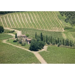 Castello di Meleto - Feeling The Silence of Wine and Relaxation - History - Art - 4 Days 3 Nights - Avvenice