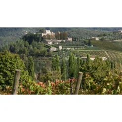 Castello di Meleto - Feeling The Silence of Wine and Relaxation - History - Art - 5 Days 4 Nights - Avvenice