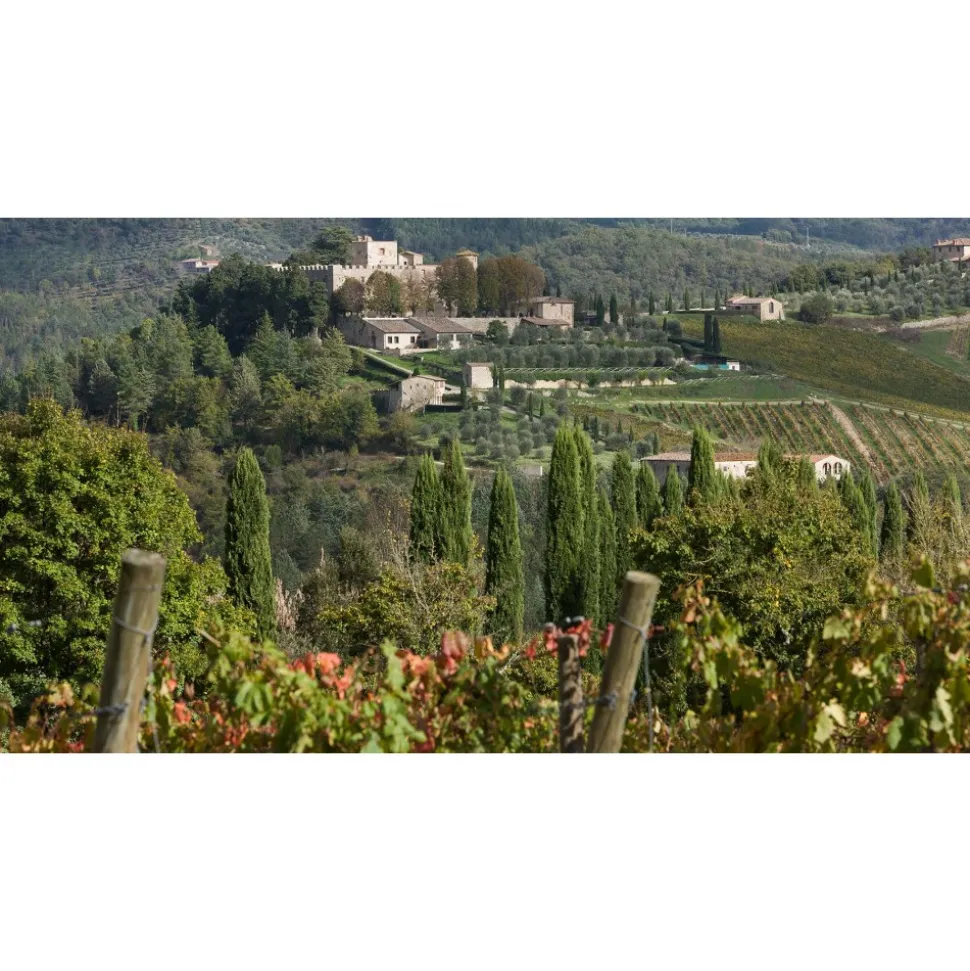 Castello di Meleto - Feeling The Silence of Wine and Relaxation - History - Art - 5 Days 4 Nights - Avvenice