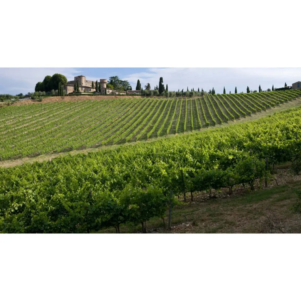 Castello di Meleto - Feeling The Silence of Wine and Relaxation - History - Art - 5 Days 4 Nights - Avvenice