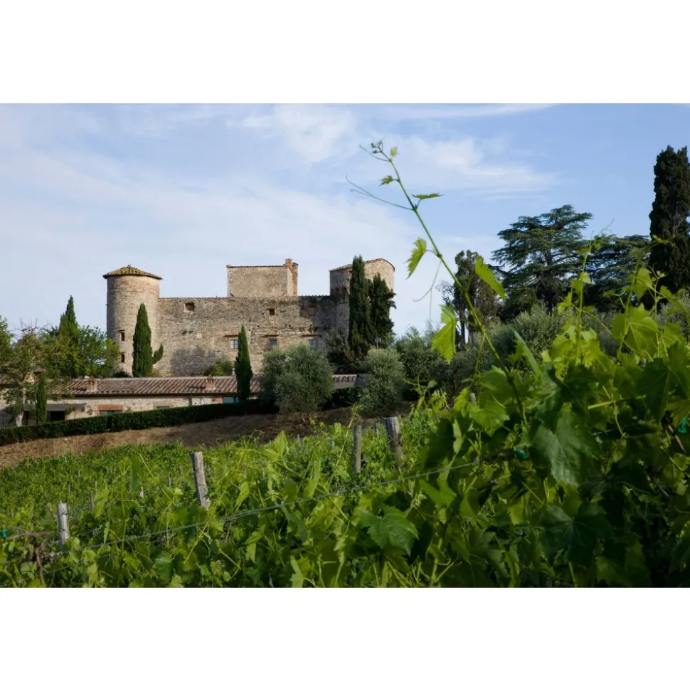 Castello di Meleto - Feeling The Silence of Wine and Relaxation - History - Art - 5 Days 4 Nights - Avvenice