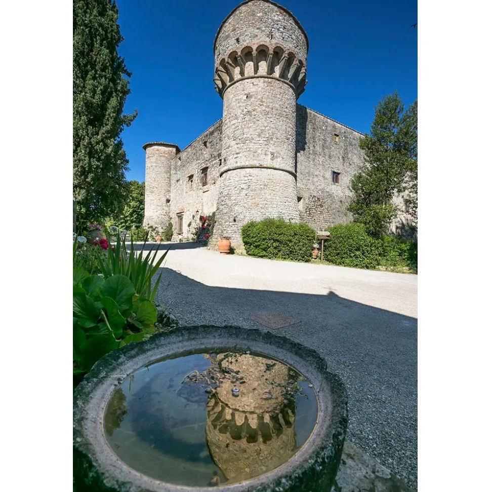 Castello di Meleto - Feeling The Silence of Wine and Relaxation - History - Art - 5 Days 4 Nights - Avvenice