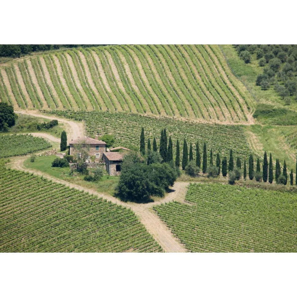 Castello di Meleto - Feeling The Silence of Wine and Relaxation - History - Art - 5 Days 4 Nights - Avvenice
