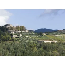 Castello di Meleto - Feeling The Silence of Wine and Relaxation - History - Art - 6 Days 5 Nights - Avvenice