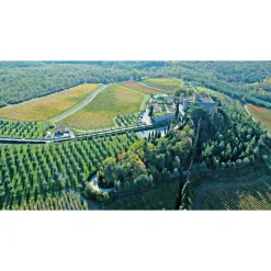 Castello di Meleto - Feeling The Silence of Wine and Relaxation - History - Art - 6 Days 5 Nights - Avvenice