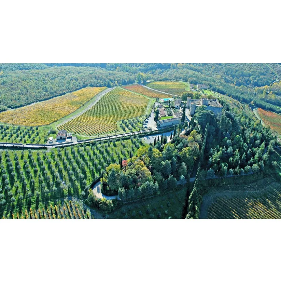 Castello di Meleto - Feeling The Silence of Wine and Relaxation - History - Art - 6 Days 5 Nights - Avvenice