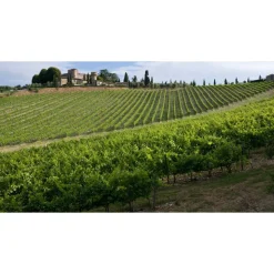 Castello di Meleto - Feeling The Silence of Wine and Relaxation - History - Art - 6 Days 5 Nights - Avvenice