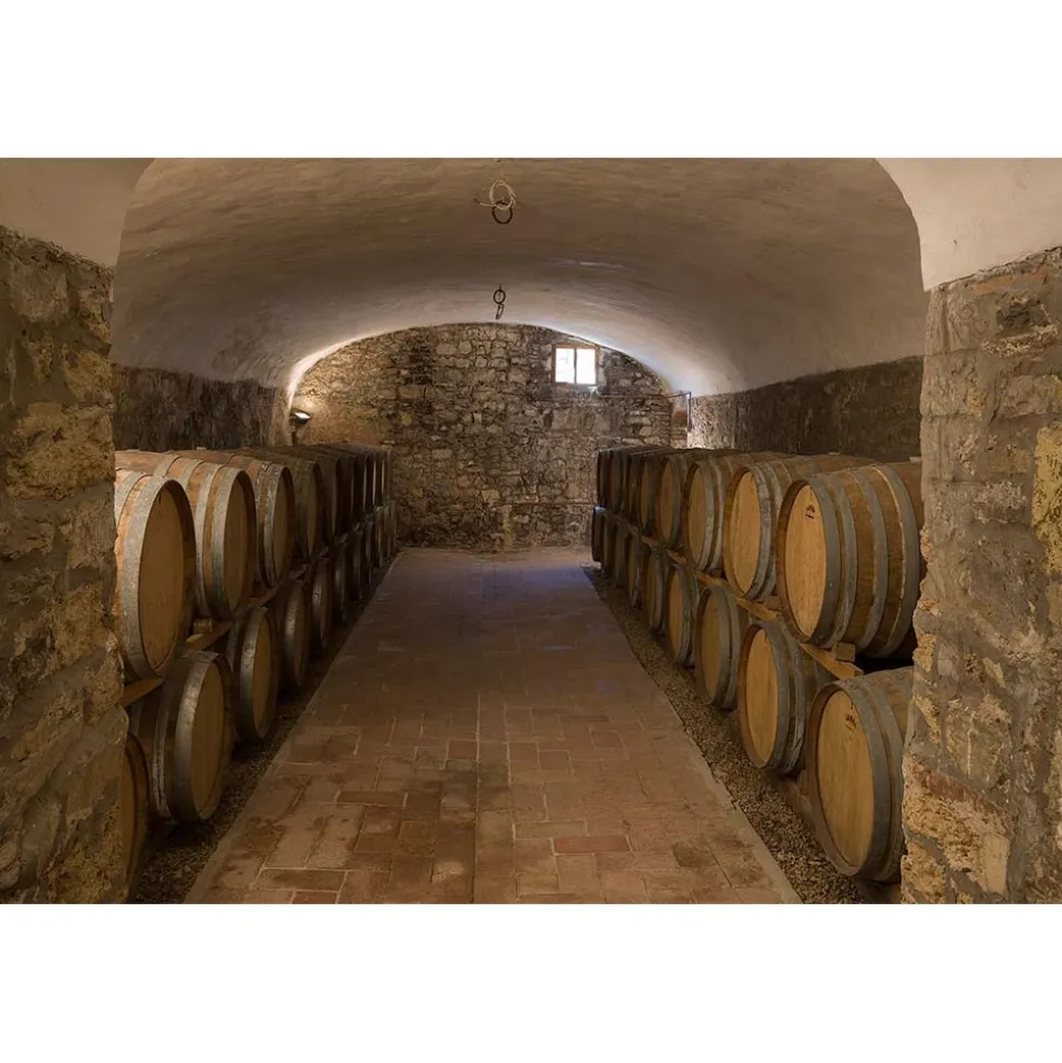 Castello di Meleto - Feeling The Silence of Wine and Relaxation - History - Art - 6 Days 5 Nights - Avvenice