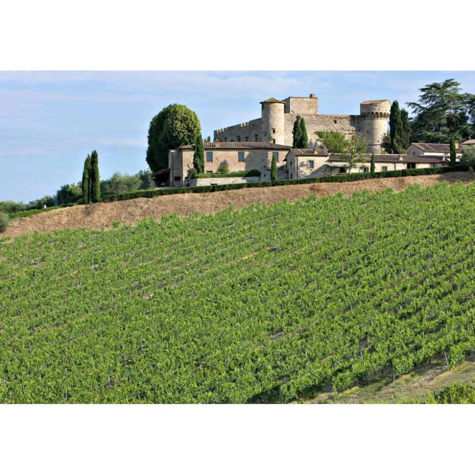 Castello di Meleto - Feeling The Silence of Wine and Relaxation - History - Art - 6 Days 5 Nights - Avvenice