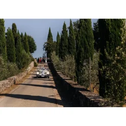 Castello di Meleto - Feeling The Silence of Wine and Relaxation - History - Art - 6 Days 5 Nights - Avvenice
