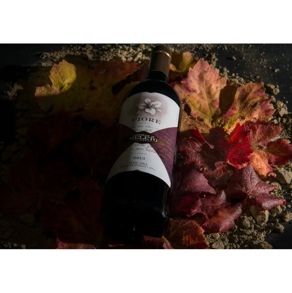 Castello di Meleto - Feeling The Silence of Wine and Relaxation - History - Art - 6 Days 5 Nights - Avvenice