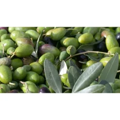 Castello di Meleto - Good Morning - History - Art - Wine - 2 Days 1 Night - Avvenice