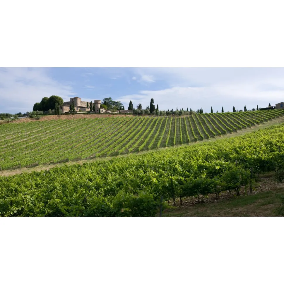 Castello di Meleto - Good Morning - History - Art - Wine - 4 Days 3 Nights - Avvenice