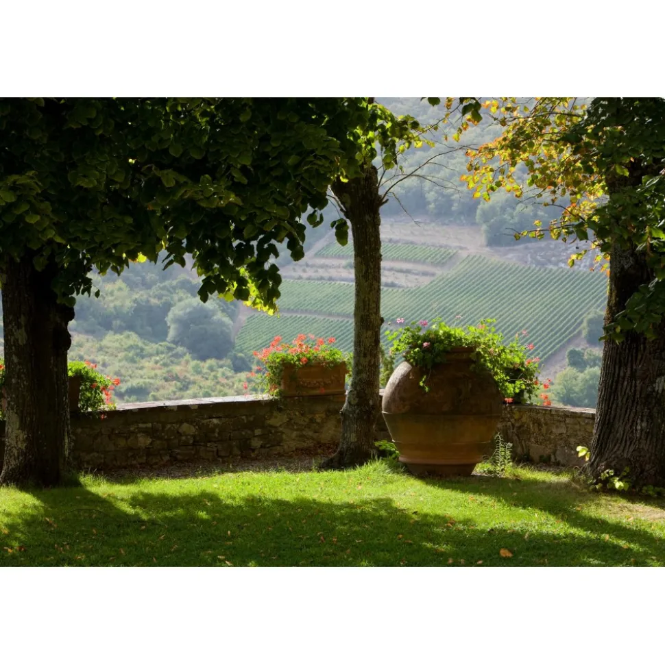 Castello di Meleto - Regenerate at The Castle - Beauty - Relax - History - Art - 6 Days 5 Nights - Avvenice