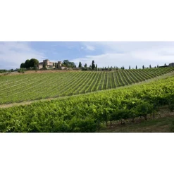 Castello di Meleto - Regenerate at The Castle - Beauty - Relax - History - Art - 6 Days 5 Nights - Avvenice