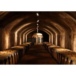 Castello di Spessa Golf & Wine Resort - Discovering Casanova - 3 Days 2 Nights - Avvenice