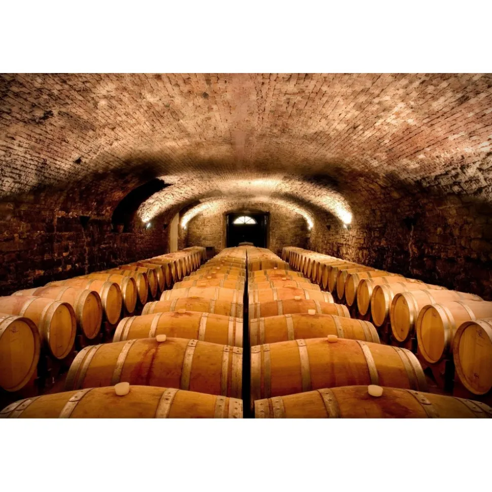 Castello di Spessa Golf & Wine Resort - Discovering Santarosa - 2 Days 1 Night - Avvenice