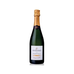 Champagne Apollonis - Authentic Meunier Blanc De Noirs Champagne - Magnum - Pinot Meunier - Luxury Limited Edition - 1,5 l - Avvenice