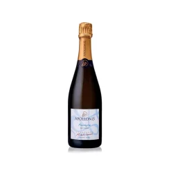Champagne Apollonis - Palmyre Champagne - Pinot Meunier - Luxury Limited Edition - Avvenice