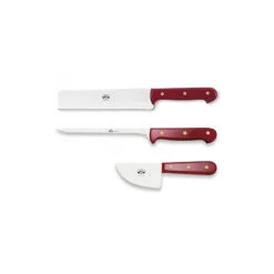 Coltellerie Berti - 1895 - Cheeses on the table - N. 445 - Exclusive Artisan Knives - Handmade in Italy - Avvenice