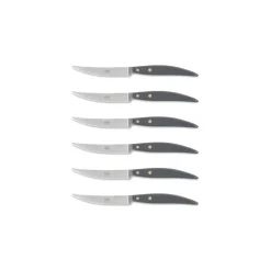 Coltellerie Berti - 1895 - Polychrome 6 Table Knives - N. 8064 - Exclusive Artisan Knives - Handmade in Italy - Avvenice