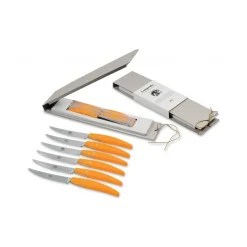 Coltellerie Berti - 1895 - Polychrome 6 Table Knives - N. 8056 - Exclusive Artisan Knives - Handmade in Italy - Avvenice