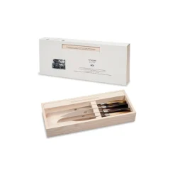 Coltellerie Berti - 1895 - Set of Four Kitchen Knives - N. 2730 - Exclusive Artisan Knives - Handmade in Italy - Avvenice