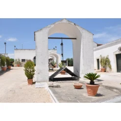 Conte Spagnoletti Zeuli - Tour Spagnoletti - Guided Tour of the XVIII Cellar, Olive Oil Plant, Vineyards and Olives - Daily - Avvenice