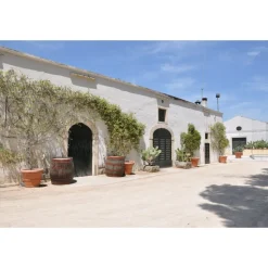 Conte Spagnoletti Zeuli - Tour Onofrio - Guided Tour of the XVIII Cellar, Olive Oil Plant, Vineyards and Olives - Daily - Avvenice