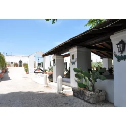 Conte Spagnoletti Zeuli - Tour Onofrio - Guided Tour of the XVIII Cellar, Olive Oil Plant, Vineyards and Olives - Daily - Avvenice