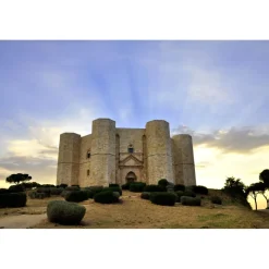 Conte Spagnoletti Zeuli - Tour Onofrio - Guided Tour of the XVIII Cellar, Olive Oil Plant, Vineyards and Olives - Daily - Avvenice