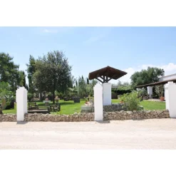 Conte Spagnoletti Zeuli - Tour Onofrio - Guided Tour of the XVIII Cellar, Olive Oil Plant, Vineyards and Olives - Daily - Avvenice