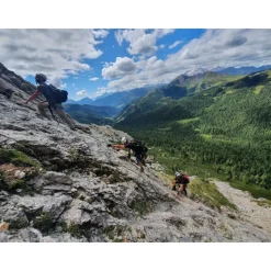 Cortina 360 - Luxury Outdoor Winter Experience - Cortina Dolomites UNESCO - Exclusive Experiences - Daily - Avvenice