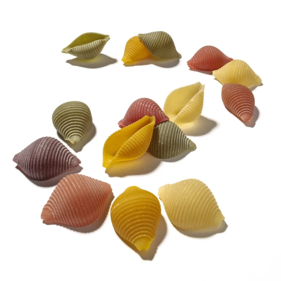 Dalla Costa - Conchiglie Five Colours - Avvenice