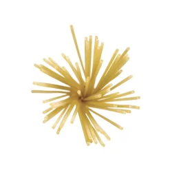 Dalla Costa - Spaghetti with Organic Kamut - Avvenice