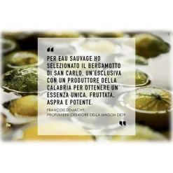 Dior - Eau Sauvage - Eau de Toilette - Luxury Fragrances - 200 ml - Avvenice