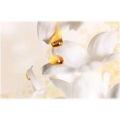 Dior - J’adore - Eau de Parfum - Luxury Fragrances - 75 ml - Avvenice