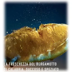 Dior - Sauvage - Eau de Parfum - Luxury Fragrances - 60 ml - Avvenice