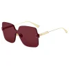 Dior - Sunglasses - DiorColorQuake1 - Bordeaux - Dior Eyewear - Avvenice