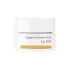 Dr. Hauschka - Lip Balm - Soothes, Nurtures and Protects - Professional Luxury Cosmetics - Avvenice